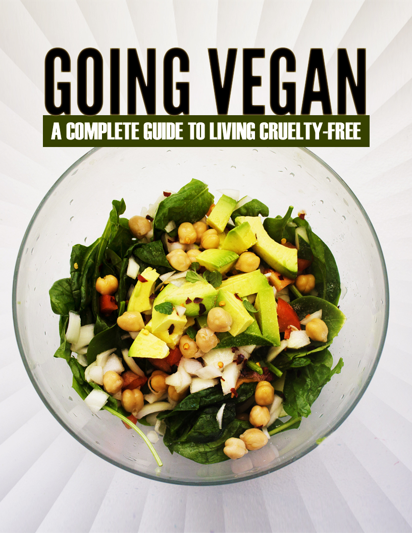 Going Vegan original report cover
