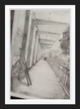 Permanent website image 14